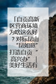 自贡高新区营商环境为啥这么好？对标昆山“昆如意”打造自贡“高兴办”｜美好生活有“盐”味
