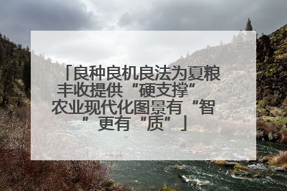良种良机良法为夏粮丰收提供“硬支撑” 农业现代化图景有“智”更有“质”