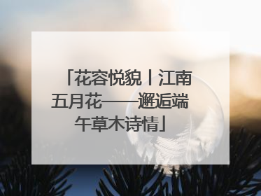 花容悦貌丨江南五月花——邂逅端午草木诗情