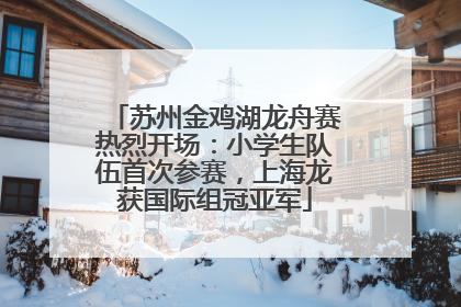 苏州金鸡湖龙舟赛热烈开场：小学生队伍首次参赛，上海龙获国际组冠亚军