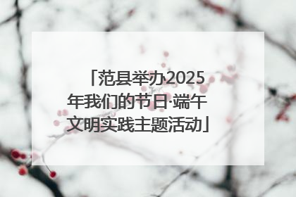 范县举办2025年我们的节日·端午文明实践主题活动