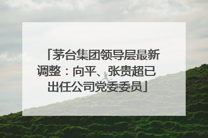 茅台集团领导层最新调整:向平、张贵超已出任公司党委委员