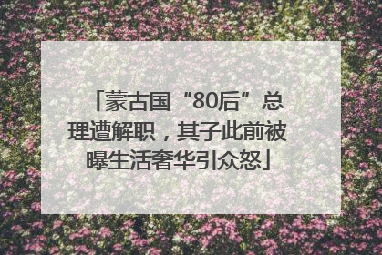 蒙古国“80后”总理遭解职，其子此前被曝生活奢华引众怒