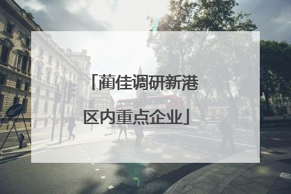 蔺佳调研新港区内重点企业