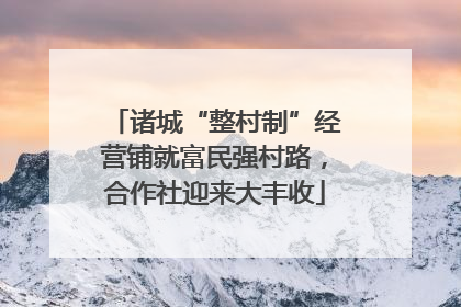 诸城“整村制”经营铺就富民强村路，合作社迎来大丰收