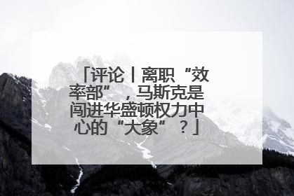 评论丨离职“效率部”，马斯克是闯进华盛顿权力中心的“大象”？