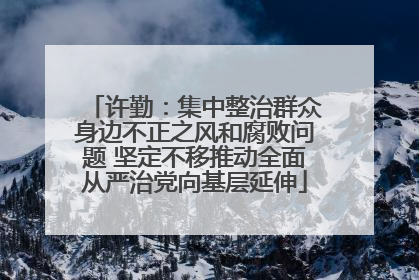 许勤：集中整治群众身边不正之风和腐败问题 坚定不移推动全面从严治党向基层延伸