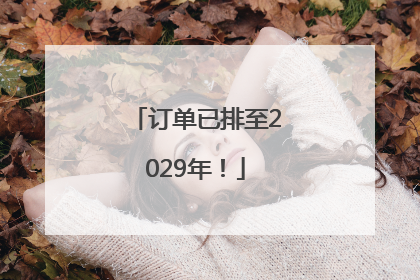 订单已排至2029年！