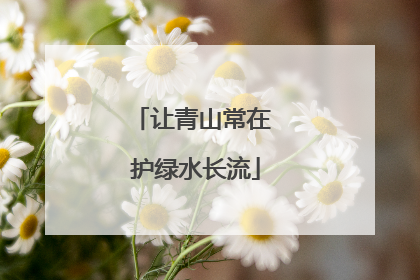 让青山常在 护绿水长流