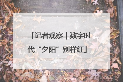 记者观察｜数字时代“夕阳”别样红
