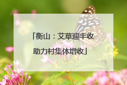 衡山：艾草迎丰收 助力村集体增收