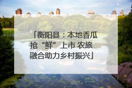 衡阳县：本地香瓜抢“鲜”上市 农旅融合助力乡村振兴