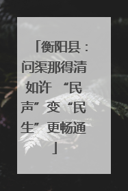 衡阳县：问渠那得清如许 “民声”变“民生”更畅通