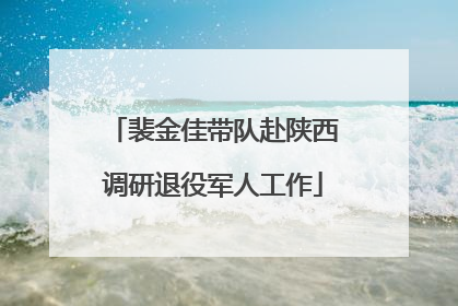 裴金佳带队赴陕西调研退役军人工作