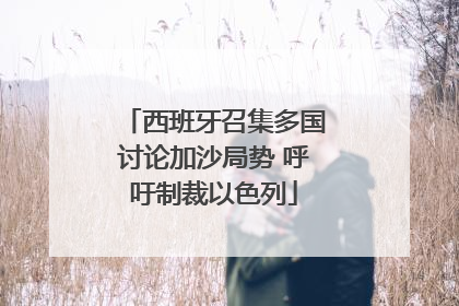 西班牙召集多国讨论加沙局势 呼吁制裁以色列