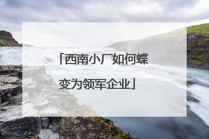 西南小厂如何蝶变为领军企业