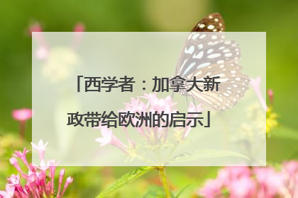 西学者：加拿大新政带给欧洲的启示