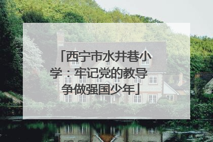 西宁市水井巷小学：牢记党的教导 争做强国少年