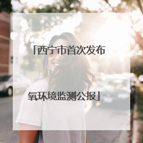 西宁市首次发布氧环境监测公报