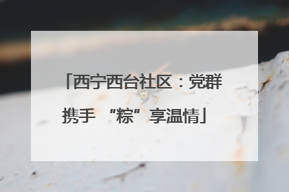 西宁西台社区：党群携手 “粽”享温情