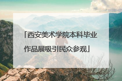 西安美术学院本科毕业作品展吸引民众参观