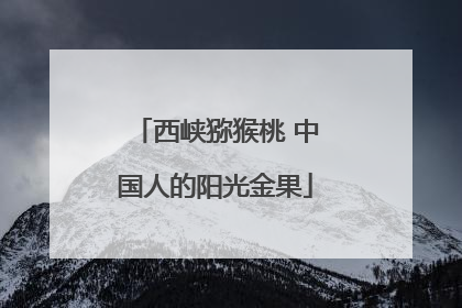 西峡猕猴桃 中国人的阳光金果