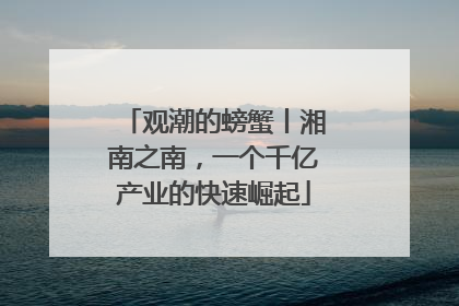 观潮的螃蟹丨湘南之南，一个千亿产业的快速崛起