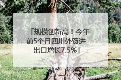 规模创新高！今年前5个月四川外贸进出口增长7.5%