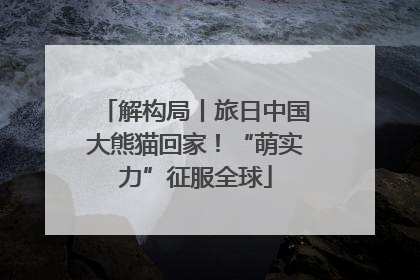解构局丨旅日中国大熊猫回家！“萌实力”征服全球
