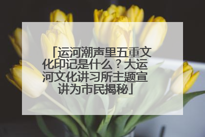 运河潮声里五重文化印记是什么？大运河文化讲习所主题宣讲为市民揭秘