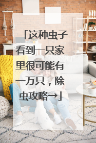 这种虫子看到一只家里很可能有一万只，除虫攻略→