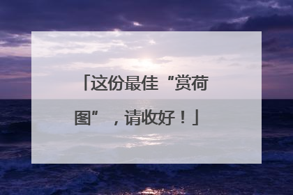 这份最佳“赏荷图”，请收好！