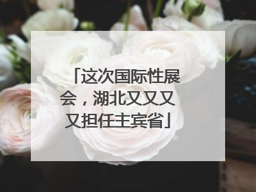 这次国际性展会，湖北又又又又担任主宾省