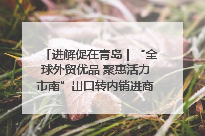 进解促在青岛｜“全球外贸优品 聚惠活力市南”出口转内销进商超专场活动启动