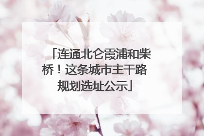 连通北仑霞浦和柴桥！这条城市主干路规划选址公示