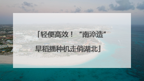轻便高效！“南漳造”旱稻播种机走俏湖北