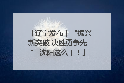 辽宁发布｜“振兴新突破 决胜勇争先” 沈阳这么干！