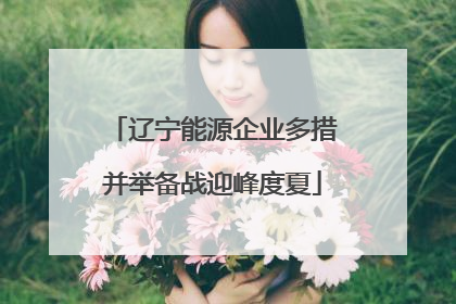 辽宁能源企业多措并举备战迎峰度夏