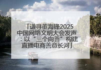 谦寻董海锋2025中国网络文明大会发声：以“三个向善”构建直播电商善意长河
