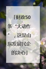 财政50条“大动作”，这是山东发展民企的决心
