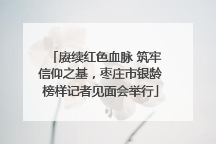 赓续红色血脉 筑牢信仰之基，枣庄市银龄榜样记者见面会举行