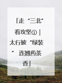 走“三北” 看攻坚①｜太行披“绿装” 连翘药茶香