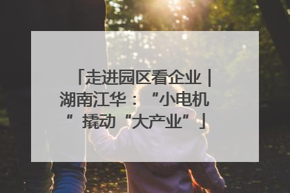 走进园区看企业｜湖南江华：“小电机”撬动“大产业”