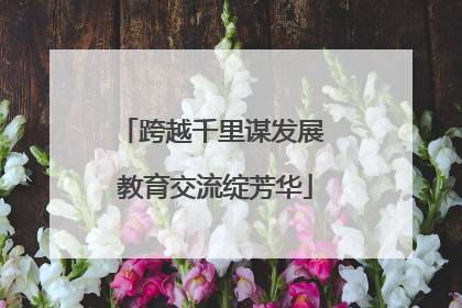 跨越千里谋发展 教育交流绽芳华