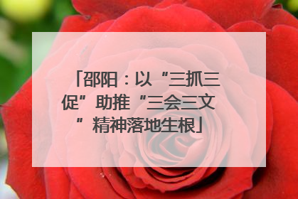 邵阳：以“三抓三促”助推“三会三文”精神落地生根