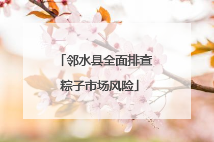 邻水县全面排查粽子市场风险