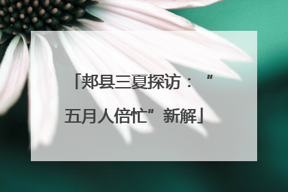 郏县三夏探访：“五月人倍忙”新解