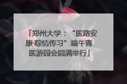 郑州大学：“医路安康·粽情传习”端午青医游园会圆满举行