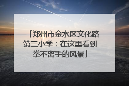 郑州市金水区文化路第三小学：在这里看到拳不离手的风景