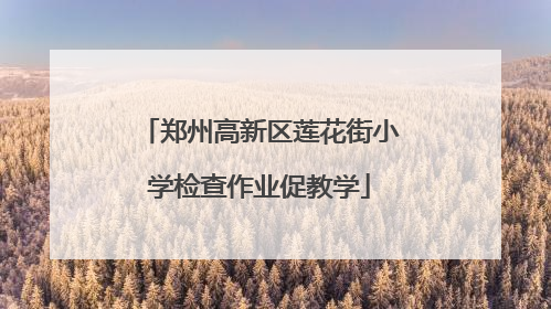 郑州高新区莲花街小学检查作业促教学